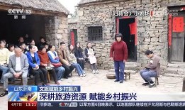 重庆农村老王爆料视频最新,揭秘当地独特风俗与民生现状